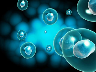 Stem Cell Therapy